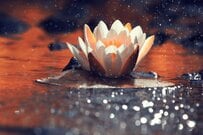 【障害年金】9月19日、不支給事案の進捗状況を公表「審査方法の見直し」改正ポイント2つをわかりやすく解説！