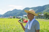 【70歳代以上のリアル】「貯蓄」と「ひと月の年金・生活費」はいくら？働く70歳代の割合も