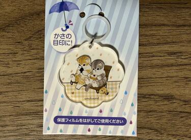 傘は猫ちゃんに守ってもらおう！」セリアで便利なアイテムを購入