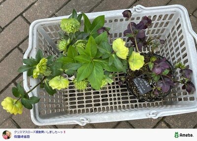 假屋崎省吾の公式ブログ投稿