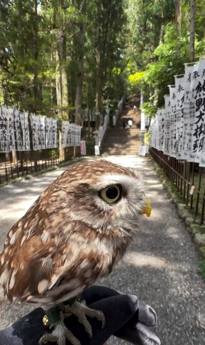 投稿動画のワンシーン