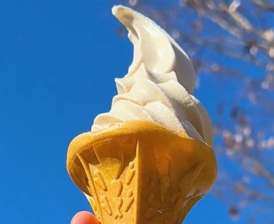 兵庫県の道の駅で味わう「そばソフトクリーム」とは？濃厚な和スイーツに「超爽やか」「香りがヤバい」