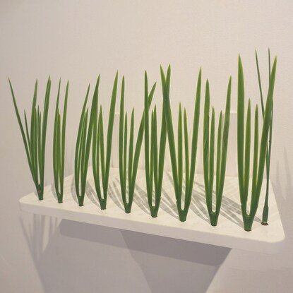 まるで草むらでかくれんぼをしているようなワクワク感