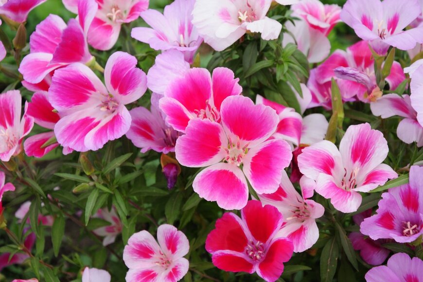 Vahan Abrahamyan/shutterstock.com