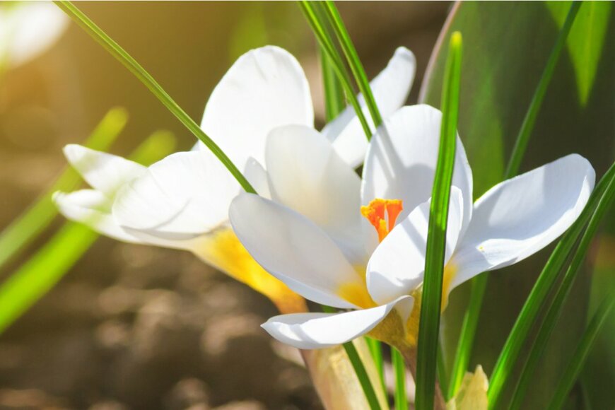 rustamank/shutterstock.com