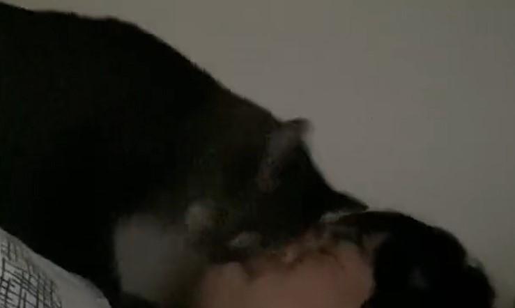 出所：@00shitemita