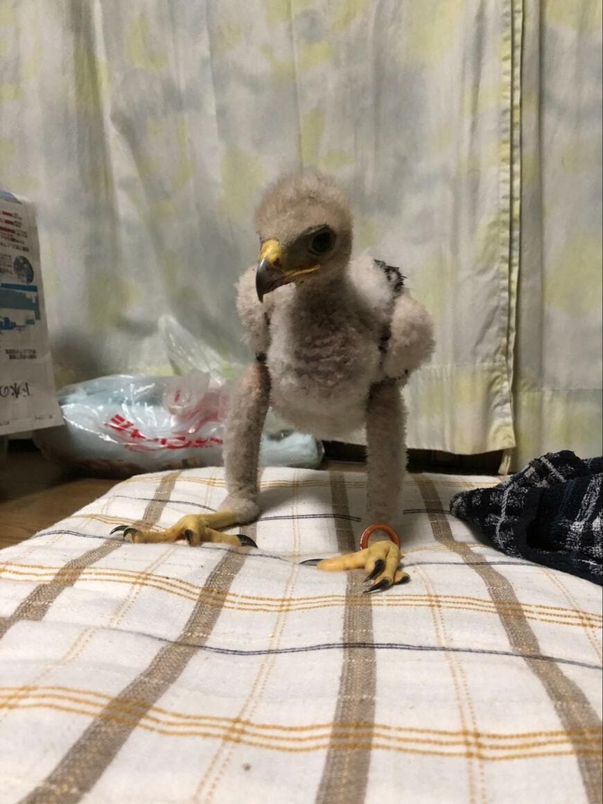 出所：@jack_nick1129