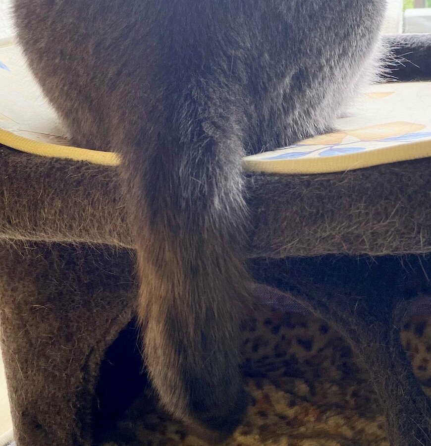 出所：@luna7taka9