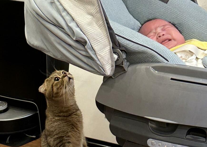 出所：@ponpokopontanu