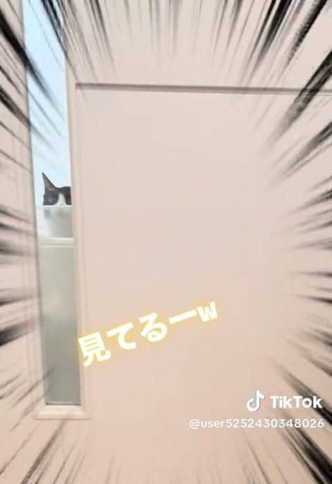 出所：@user5252430348026