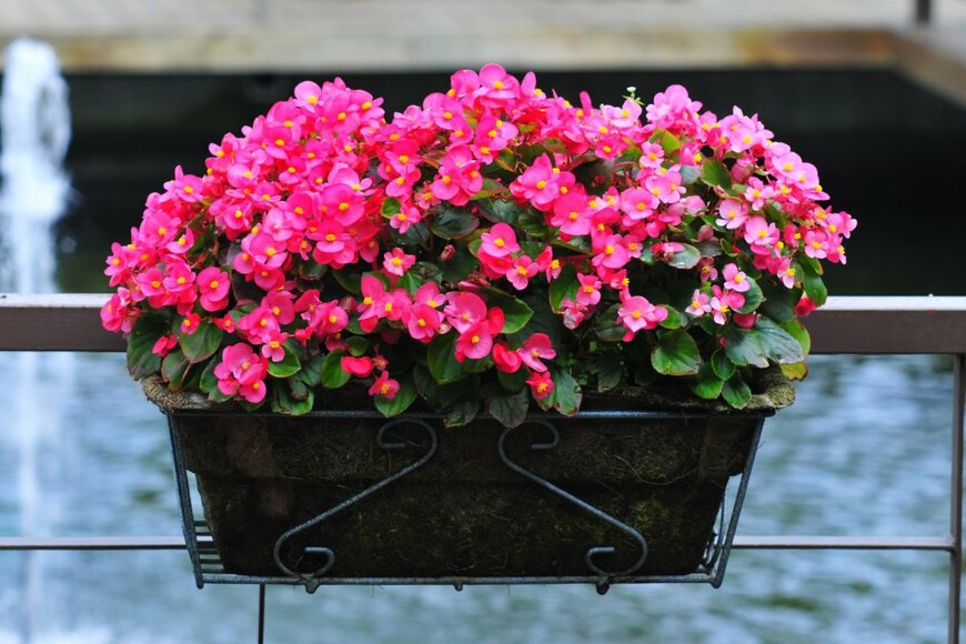 Chen Liang-Dao/shutterstock.com