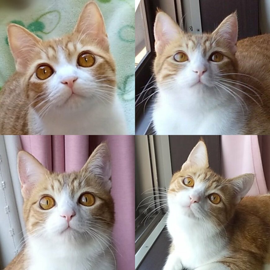 出所：@mero627puri914