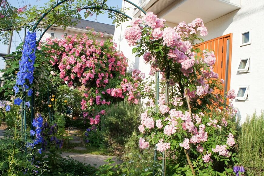 HIDEKI HASHIZUME/shutterstock.com