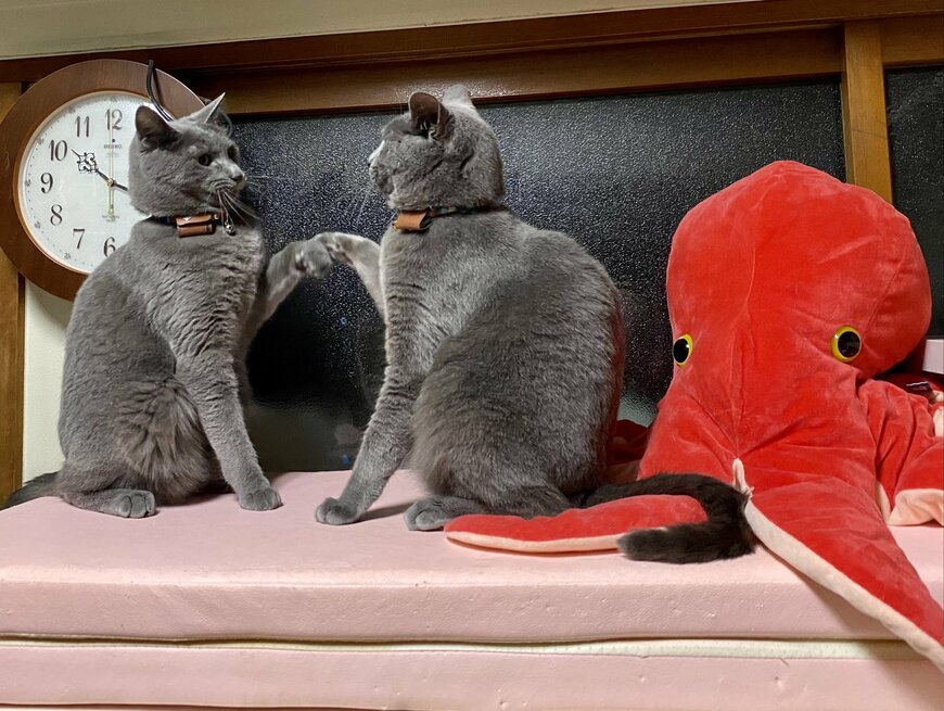 出所：@luna7taka9