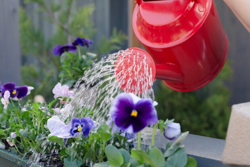 artursfoto/istockphoto.com