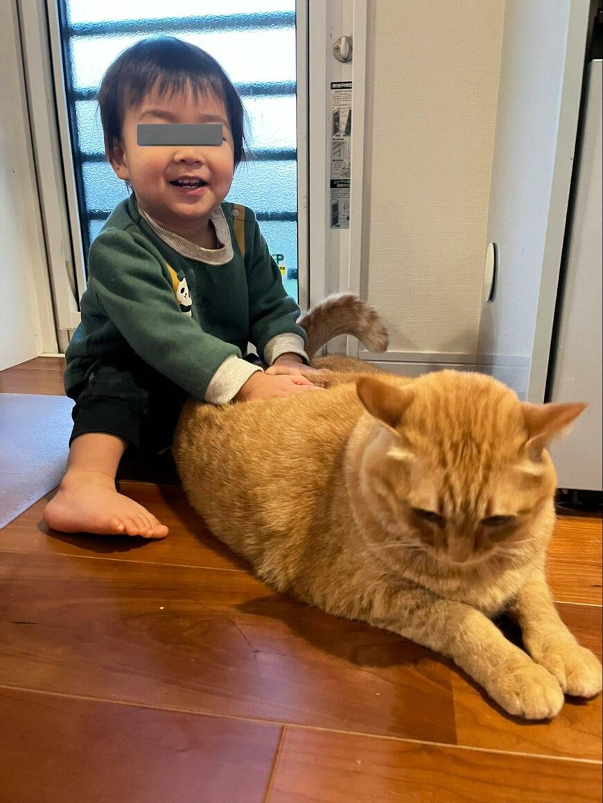 出所：@kagisuzu0531