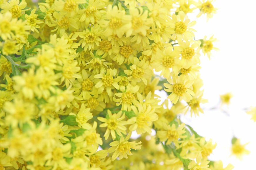 Hawk777/shutterstock.com