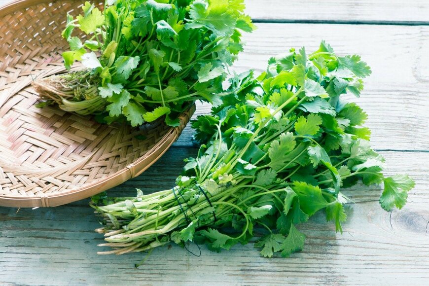 NataliaBulatova/istockphoto.com