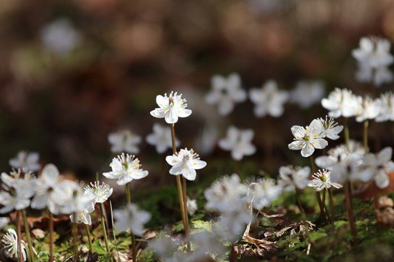 写真：筆者撮影