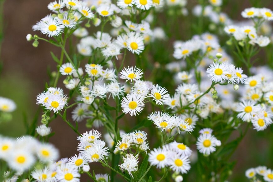 aga7ta/istockphoto.com