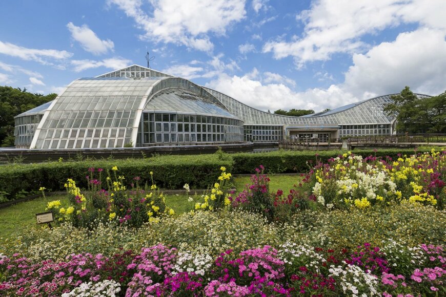 Isaac Mok/shutterstock.com