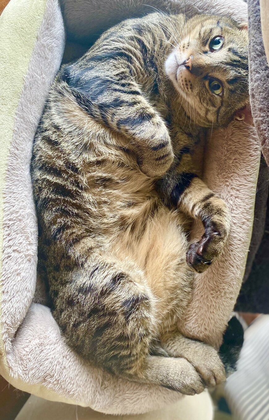 出所：@luna7taka9