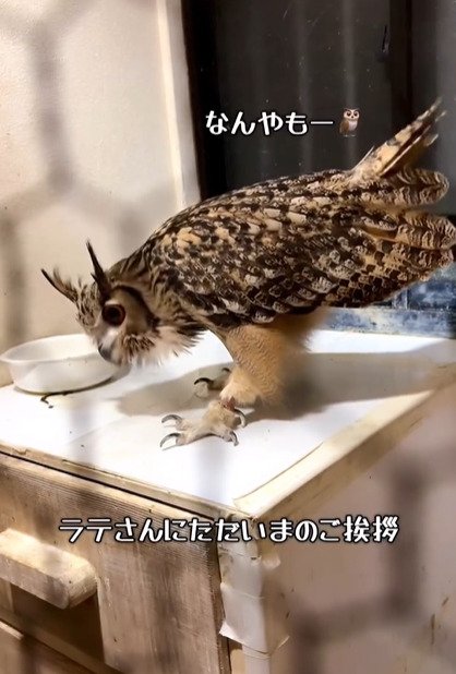 出所：@ba_chantolatte