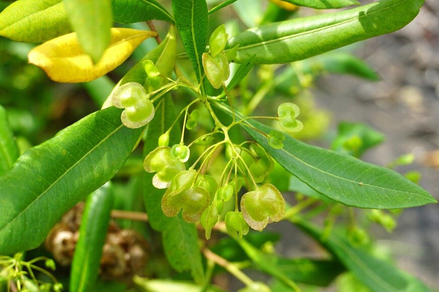 wahid hasyim asyari/istockphoto.com