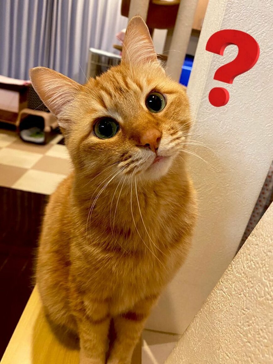 出所：@Adonis_Beginner