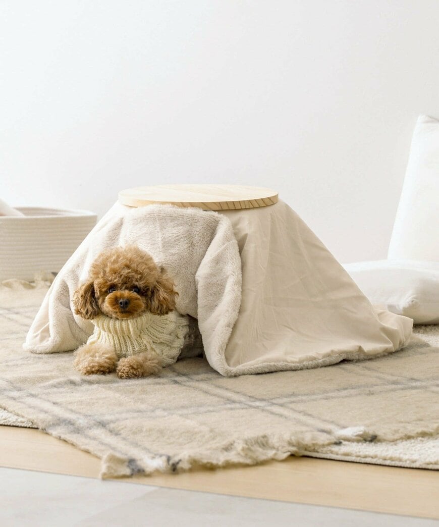 出所：3COINS公式　こたつ