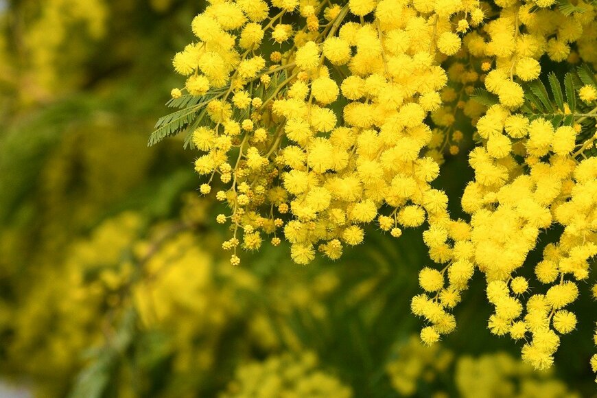 undefined undefined/istockphoto.com