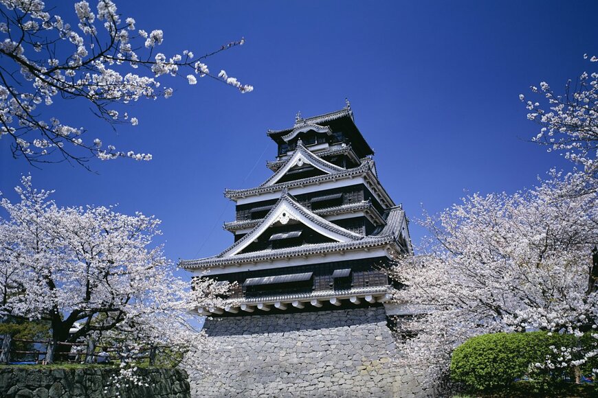 KPG-Payless/shutterstock.com