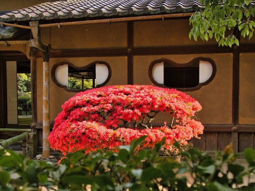 投稿の画像