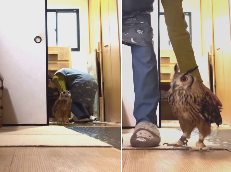 投稿動画のワンシーン