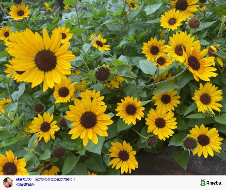 假屋崎省吾のAmebaブログ投稿