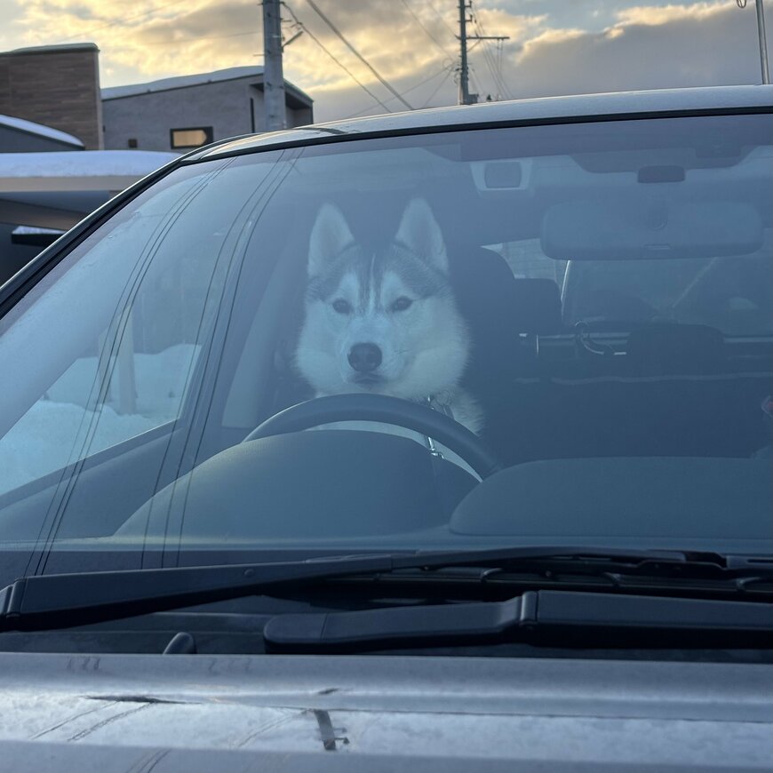 ベテラン感あふれるワンワンドライバー