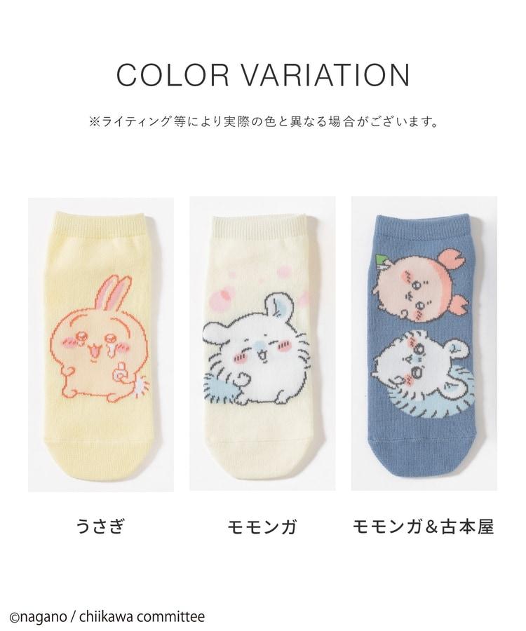 ハニーズ、ちいかわ／ソックスの画像