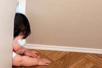 「猫ドアからの侵入を試みる赤ちゃん」写真にXユーザーもホッコリ