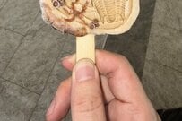 タイで購入した「アイス」に思わず目を疑う　強烈なビジュアルに「なにこれ…」