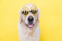 65歳以上の無職世帯「平均貯蓄額」の残酷な実態。老後格差に怯えないためには