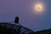 シャープとサムスンの昔のガジェットを見ながら秋の夜長に考えたこと