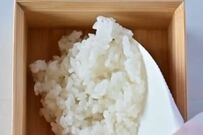 【男子弁当】丁寧な詰め方に惚れ惚れ…　ご飯にのっけた〈生姜焼き弁当〉がカラフルで美しい