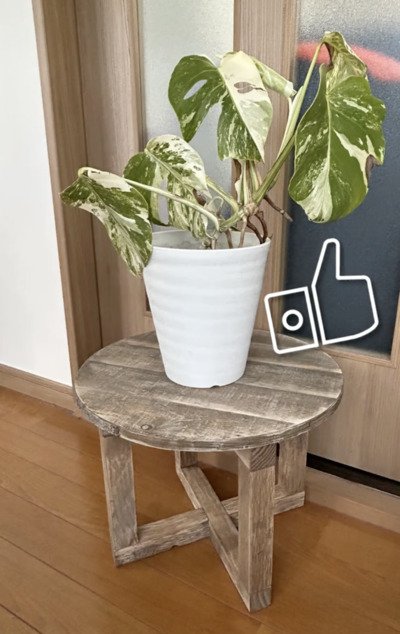 投稿動画のワンシーン