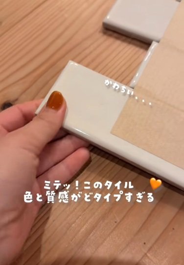 投稿動画のワンシーン