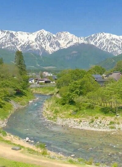 投稿の画像