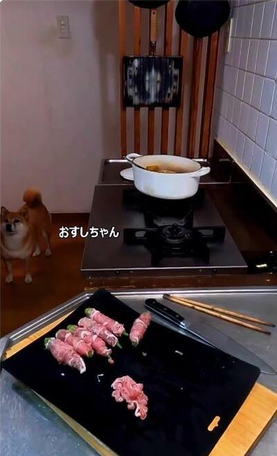 豚肉を巻いたオクラと、台所に姿を見せたおすしちゃん