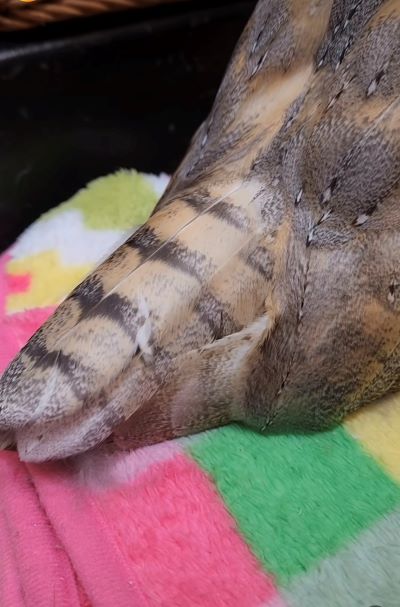 投稿動画のワンシーン