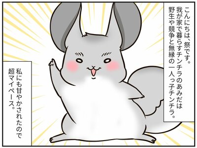 チンチライフ187話