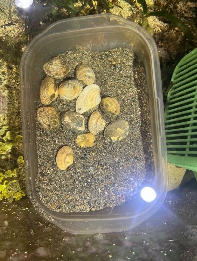 水槽の中へ