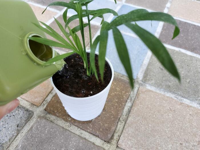 セリア・じょうろ キューブタイプ 240ml